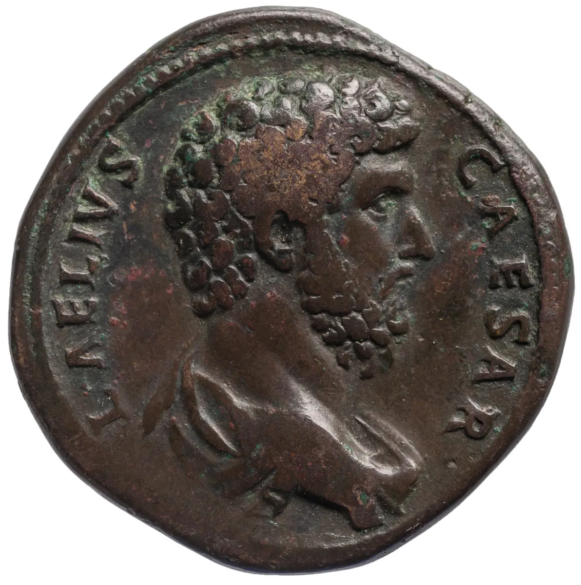 Lucius Aelius