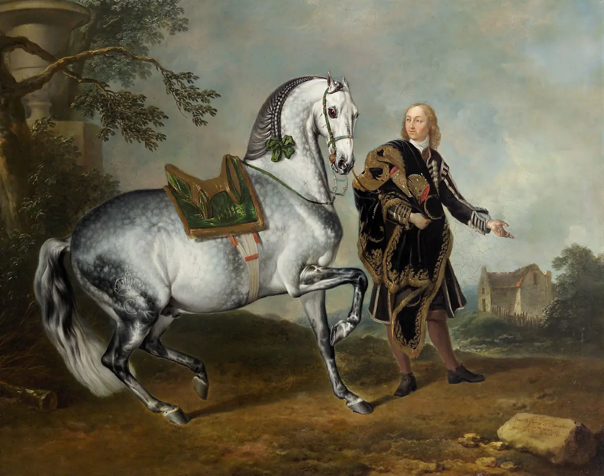 Kladruber Hengst 