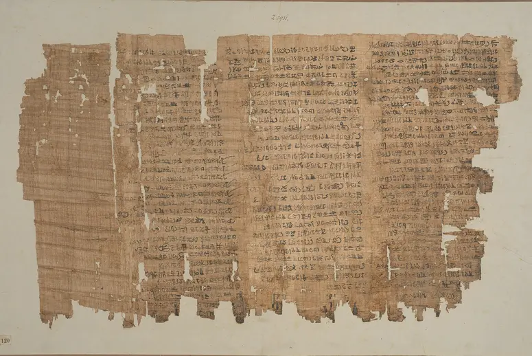 Papyrus