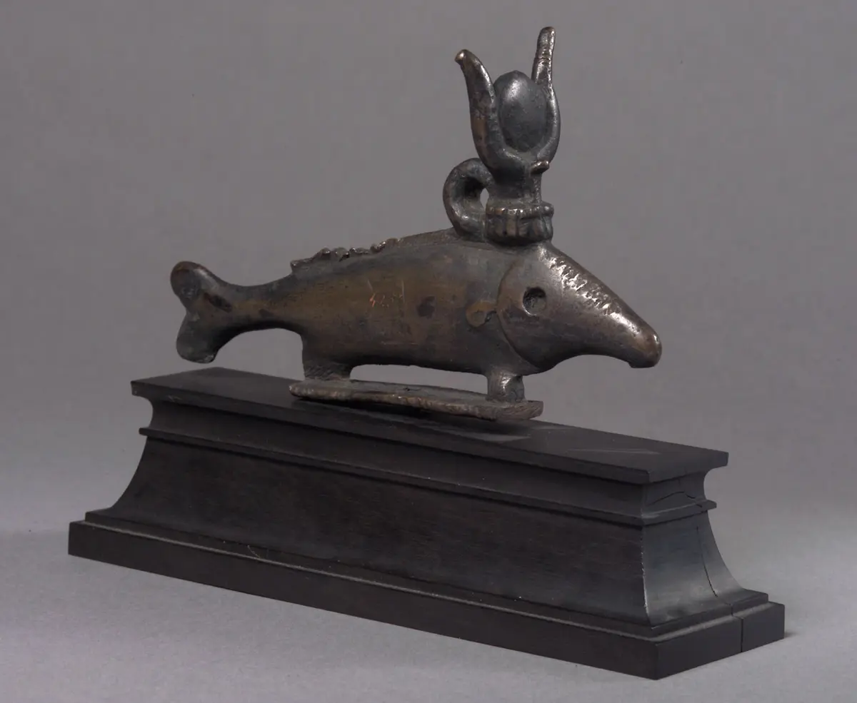 Oxyrhynchus-Fisch