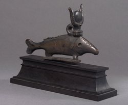 Oxyrhynchus-Fisch