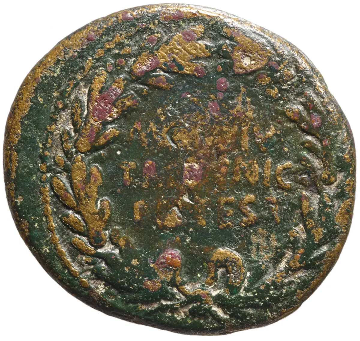 Augustus