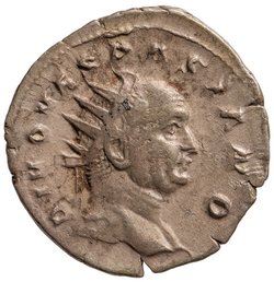 Divus Vespasianus