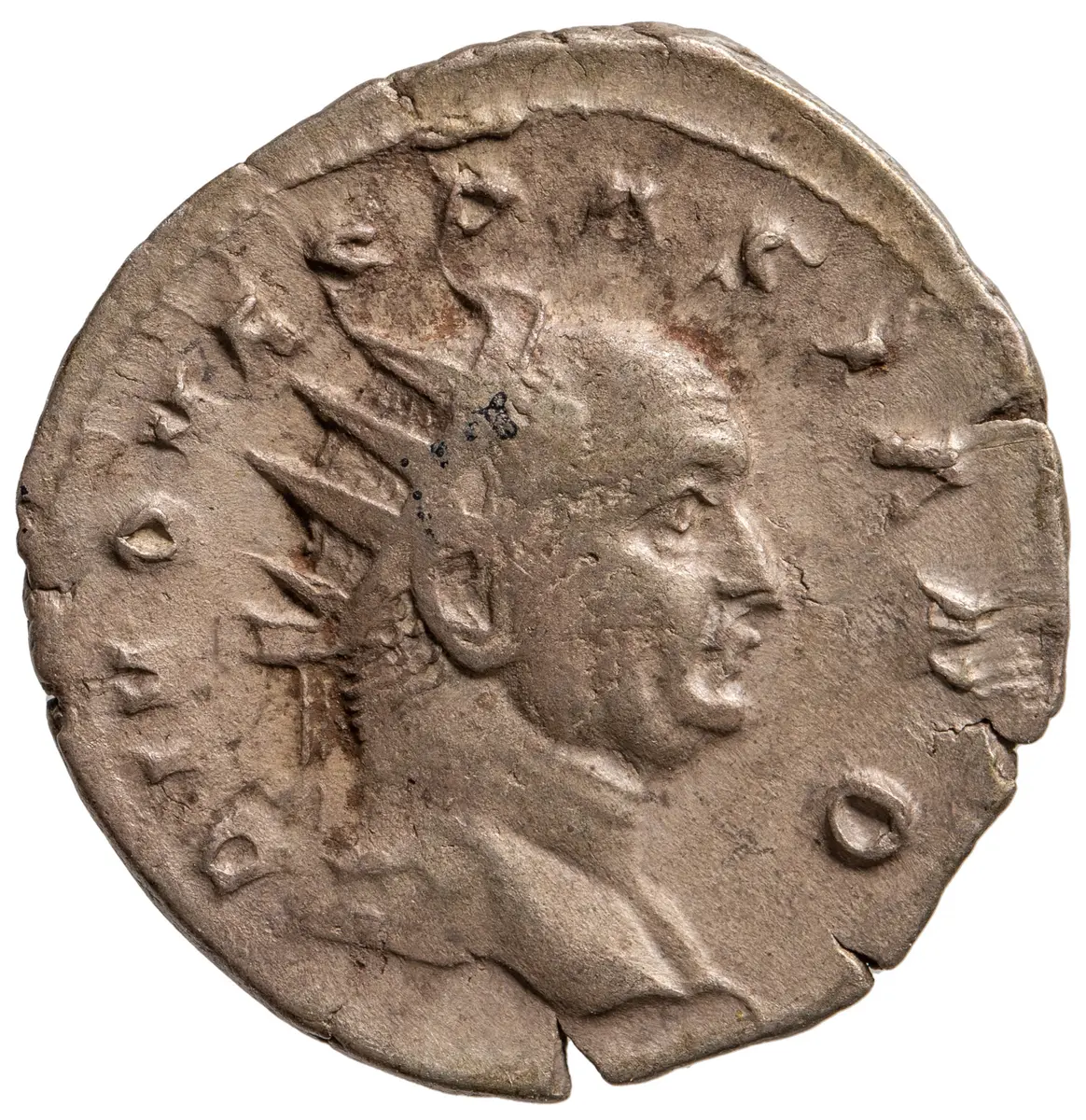 Divus Vespasianus