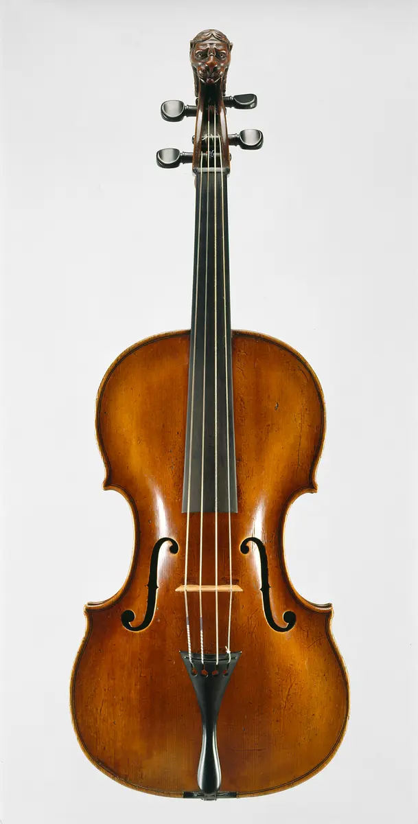 Viola