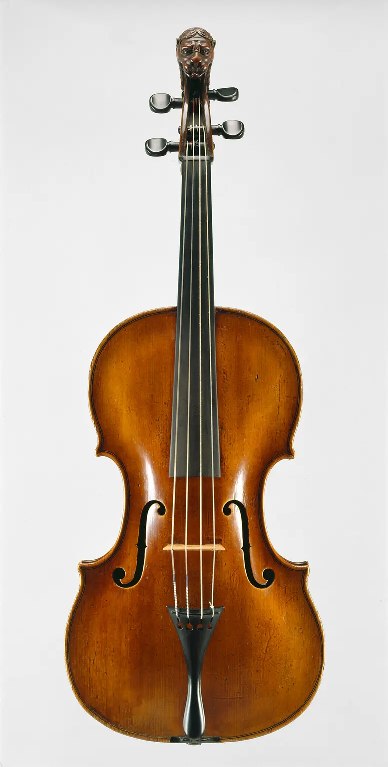 Viola
