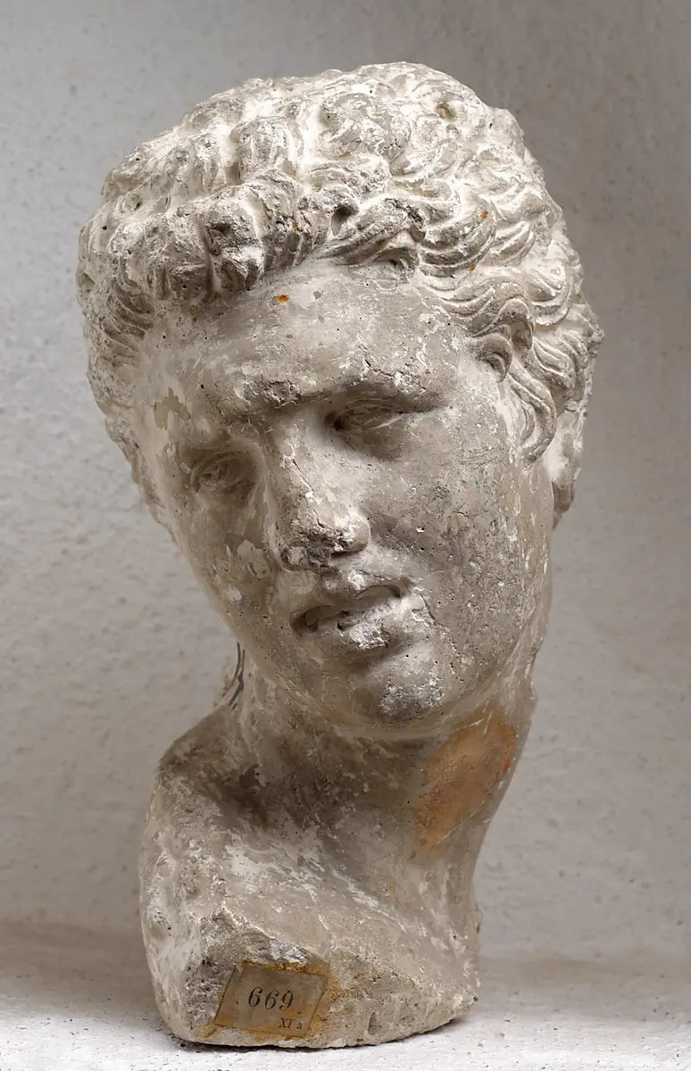 Sohn des Laokoon (Laocoon), Büste, Kopf, Porträtbüste, Porträtkopf, Abguss