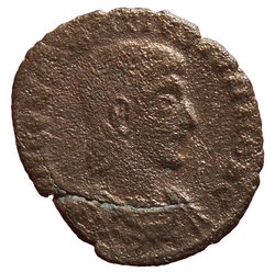 Constantius Gallus