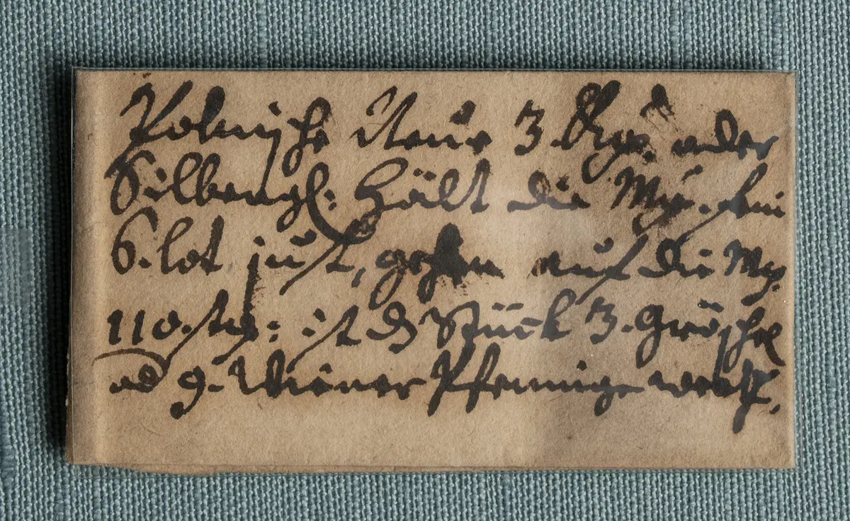 Polen: Johann II. Kasimir