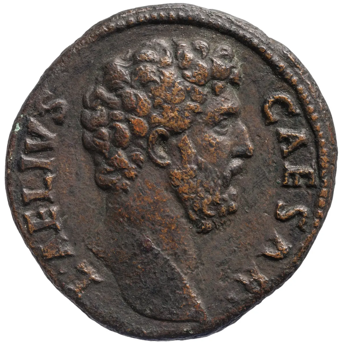 Lucius Aelius