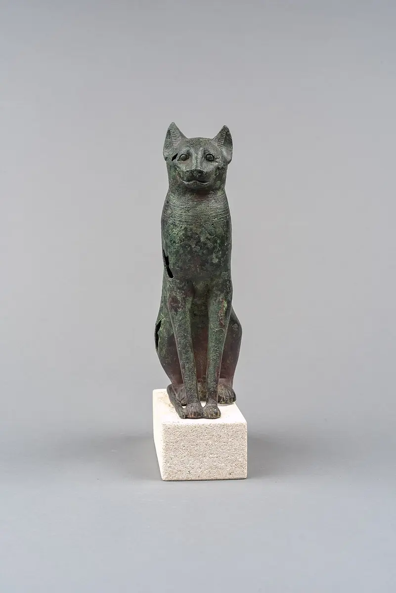 Sitzende Katze