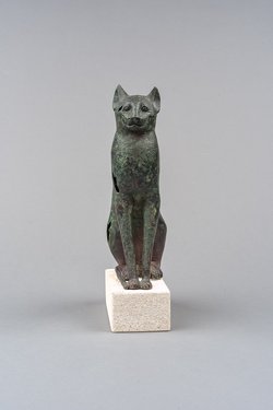 Sitzende Katze