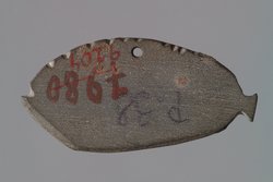 Miniaturpalette in Fischform