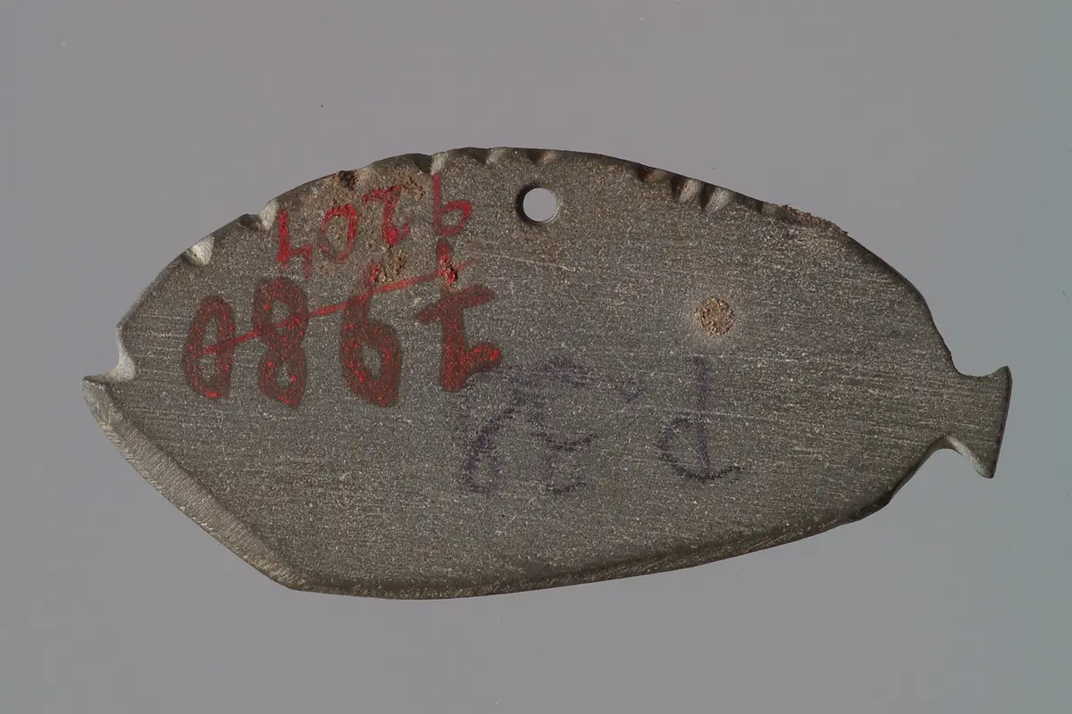 Miniaturpalette in Fischform