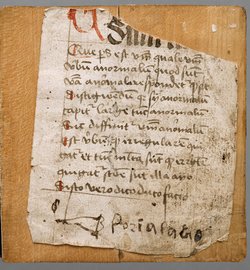 Sog. Wiener Musterbuch
