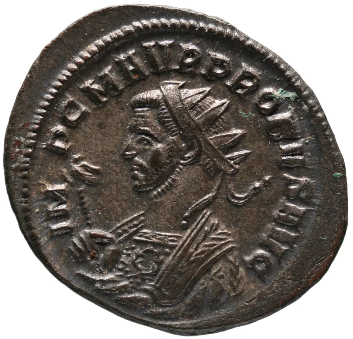 Probus