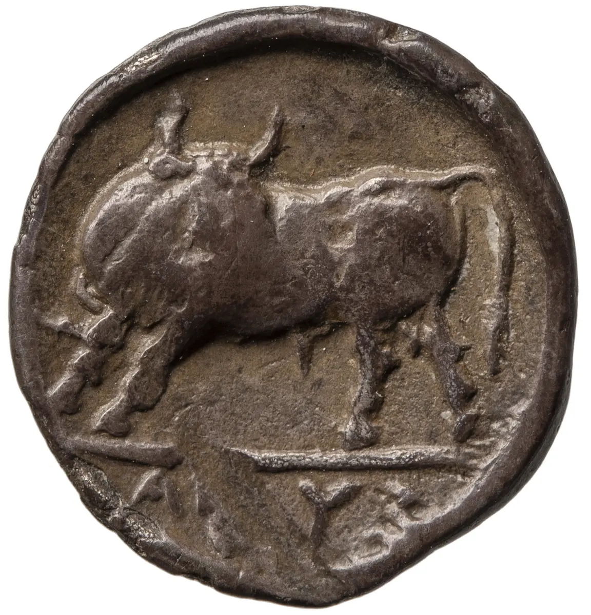 Sybaris