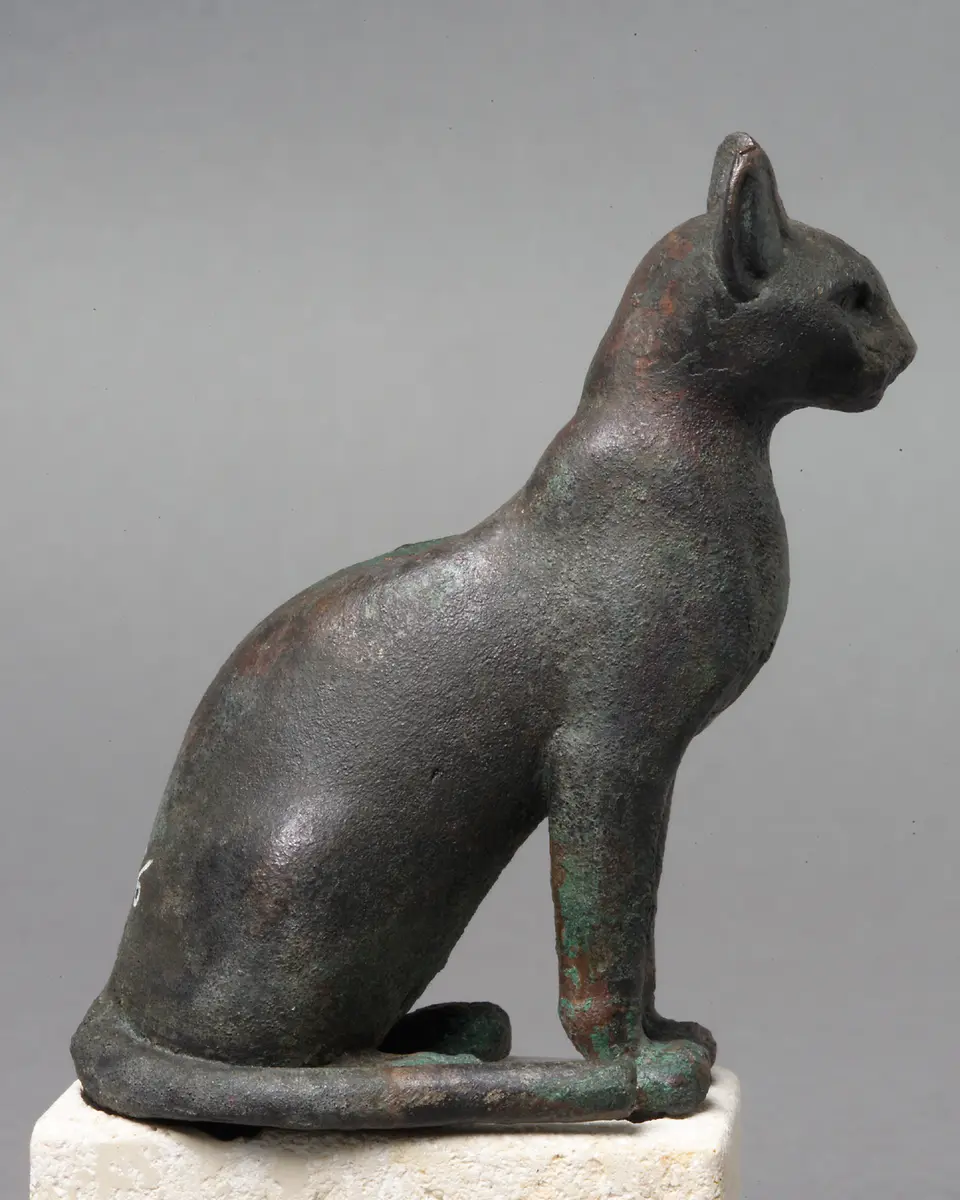 Katze