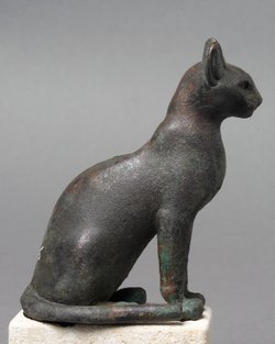 Katze
