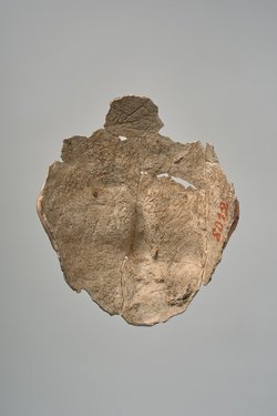 Gesichtsteil einer Maske