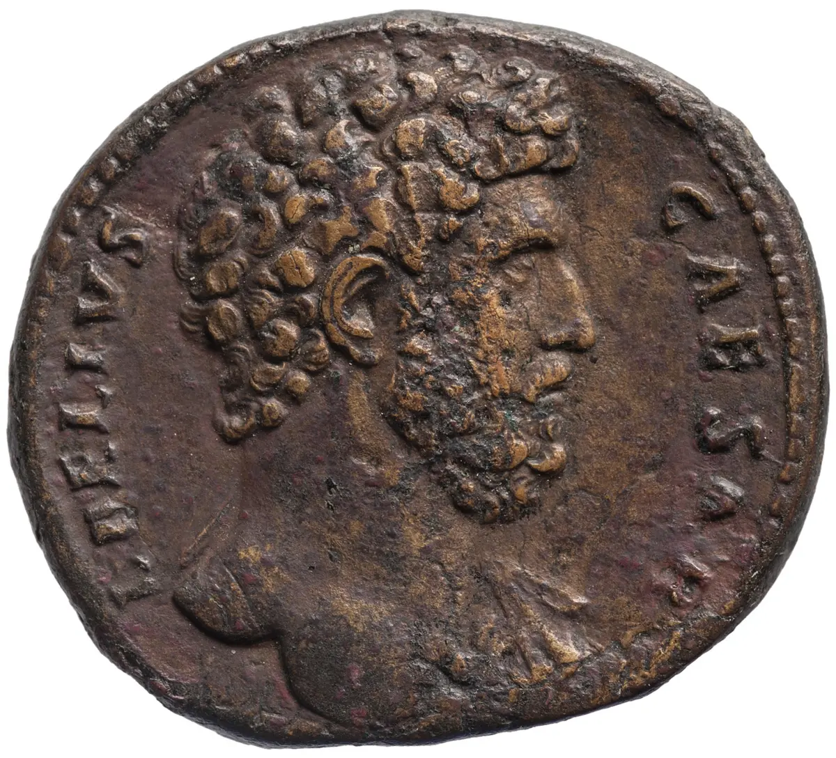 Lucius Aelius