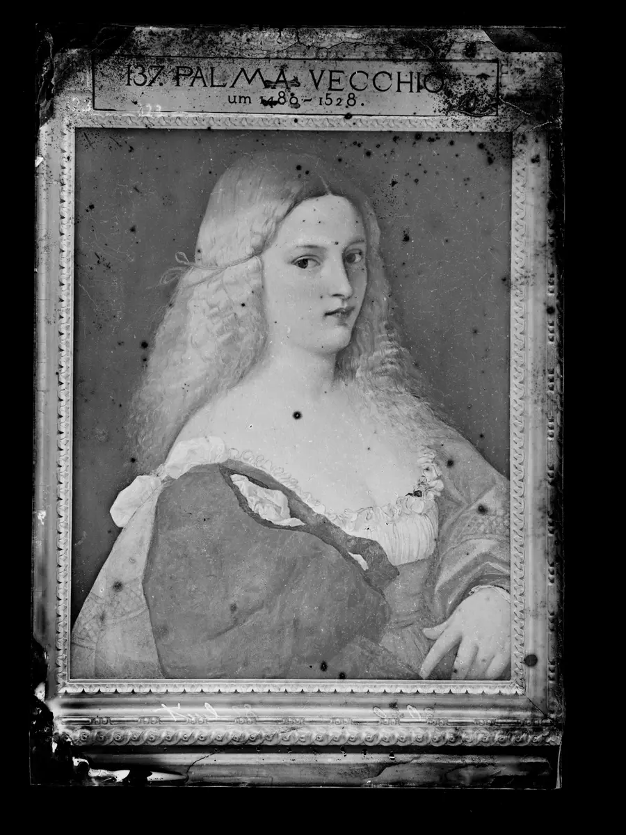 Violante