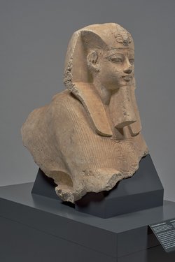 Vorderteil eines Sphinx Amenophis' III.