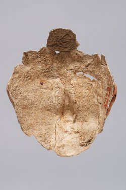 Gesichtsteil einer Maske