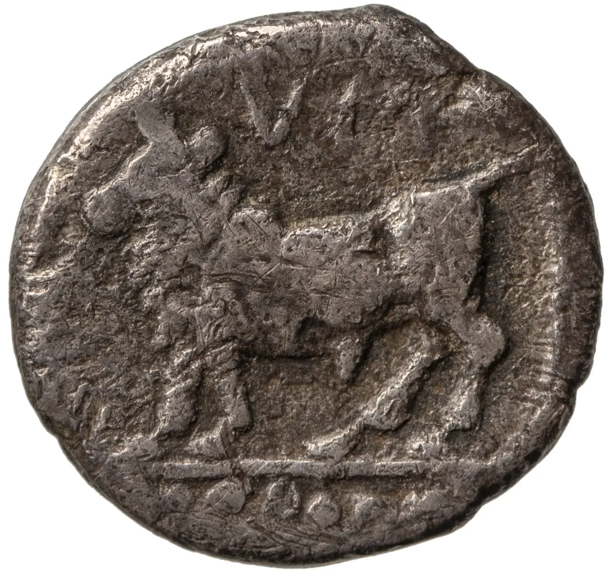 Sybaris