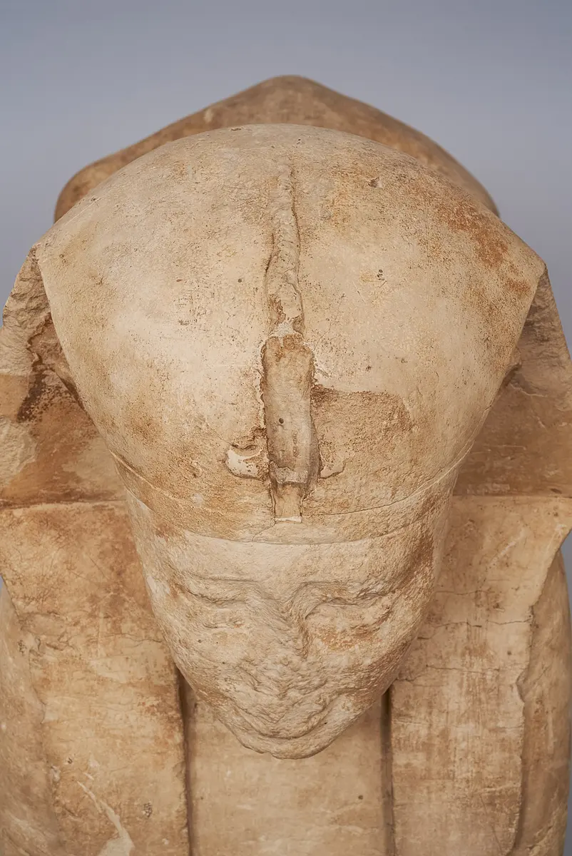 Serapeumssphinx