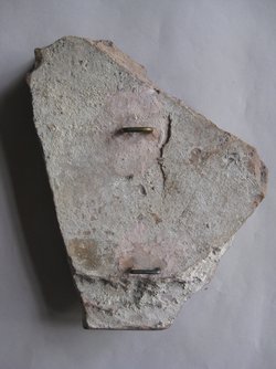 Fragment einer Sima: Löwengreif, in Ranken übergehend