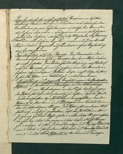 Die Obliegenheiten des Portiers im Vestibüle
