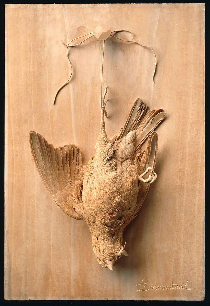 Vogelstillleben