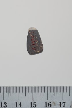 Sieben Gewichte