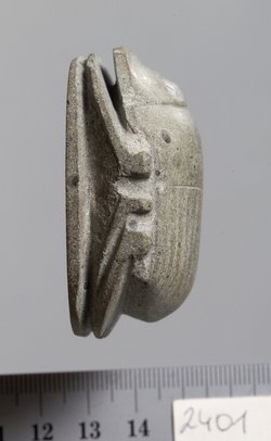 Herzskarabäus