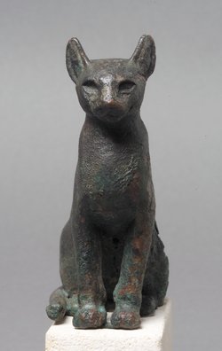Katze