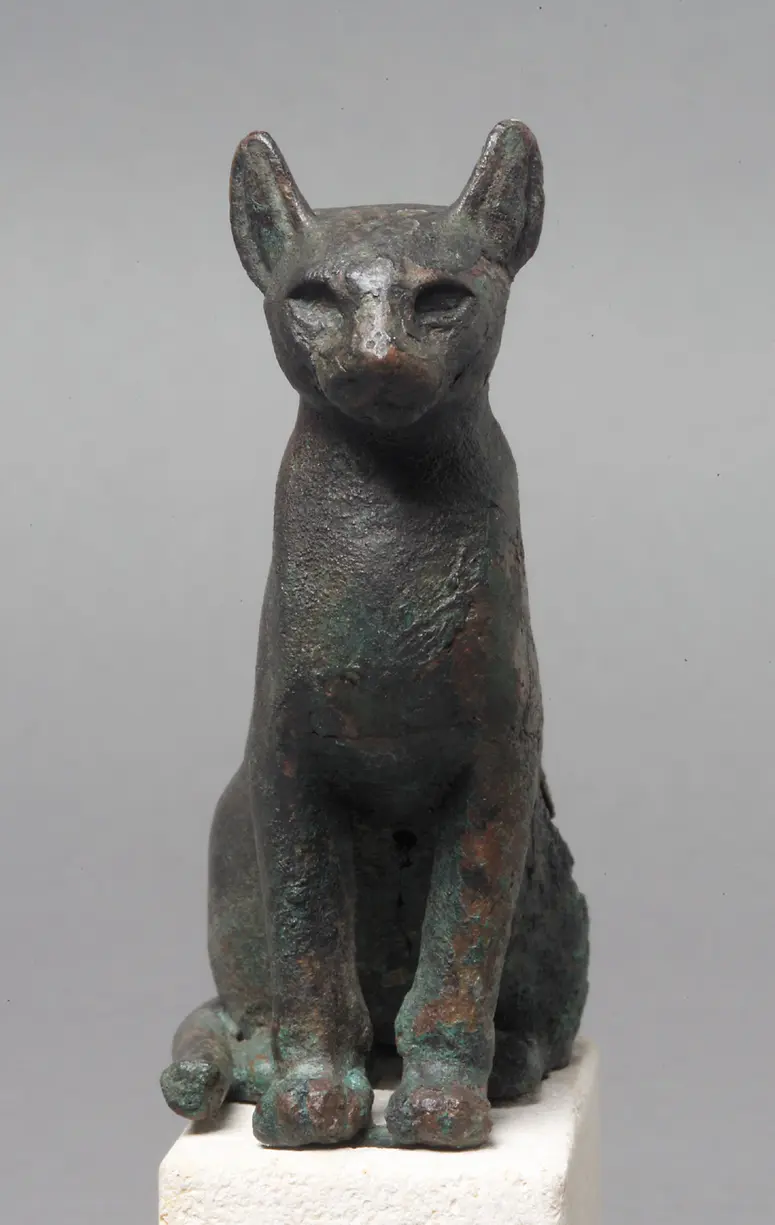 Katze