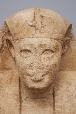 Serapeumssphinx