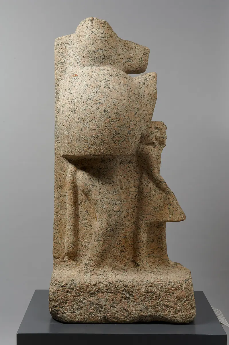 Mantelpavian mit König