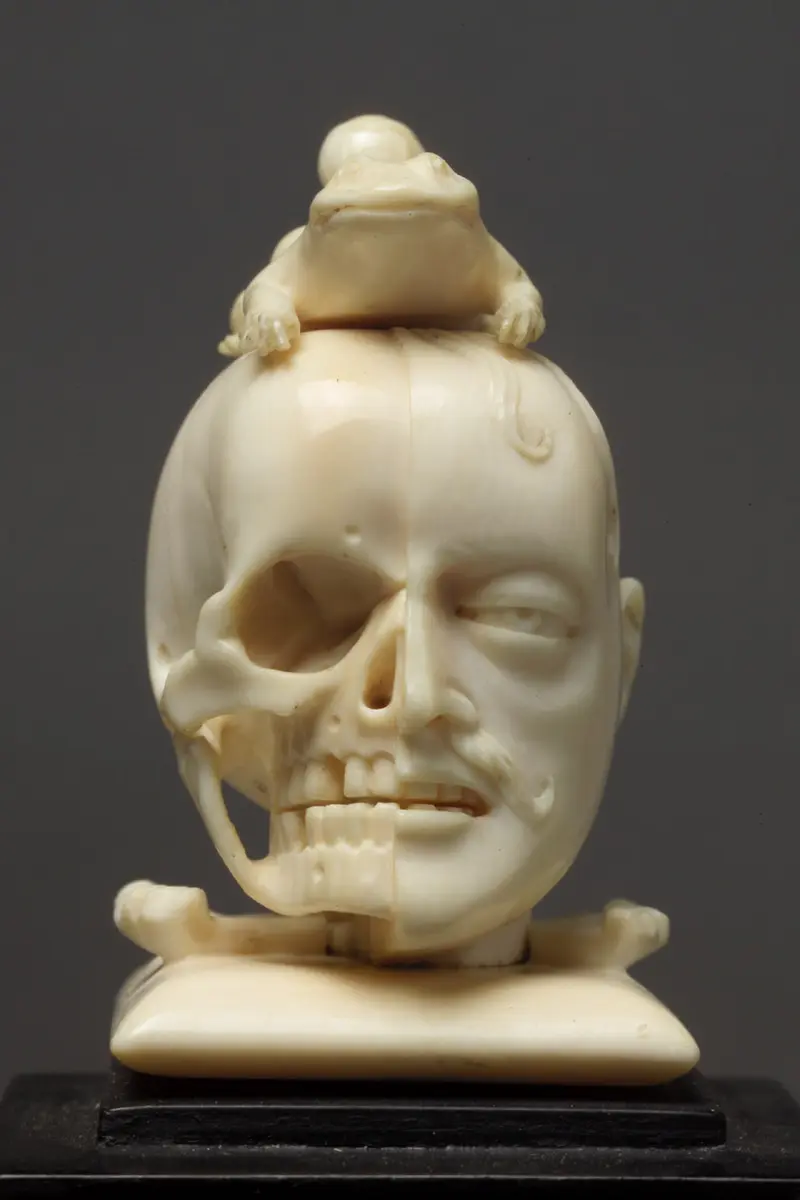 Vanitas - Kopf