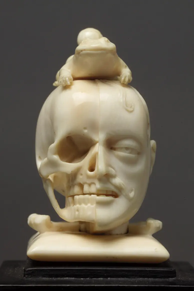 Vanitas - Kopf