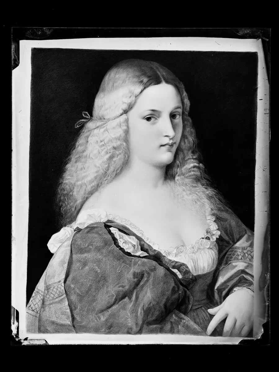 Violante