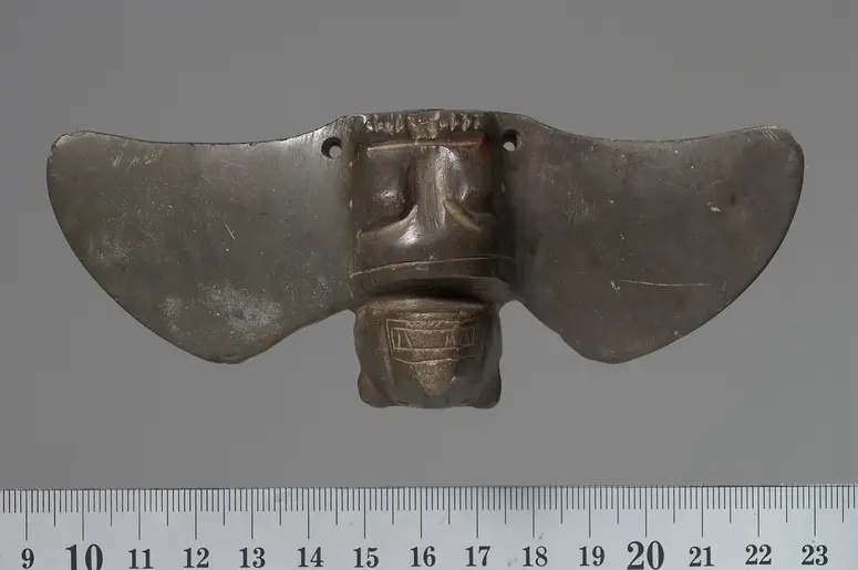 Fledermaus mit ausgebreiteten Flügeln