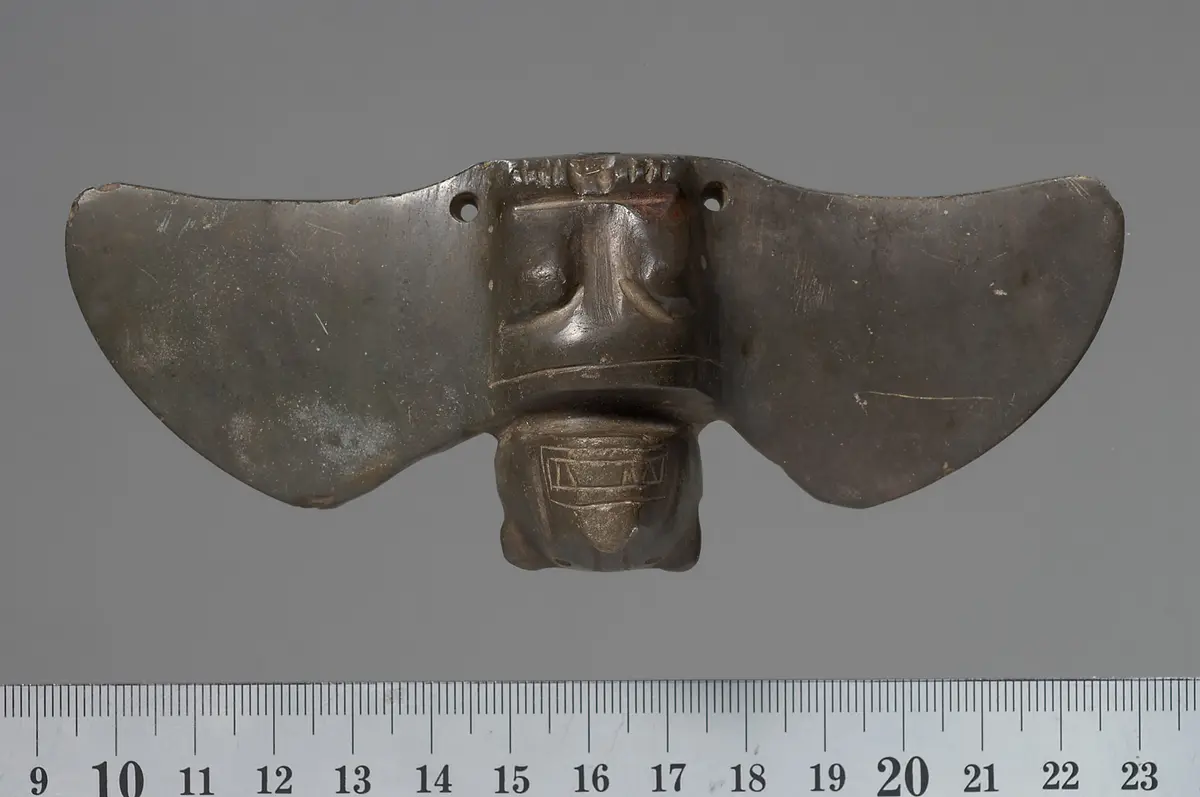 Fledermaus mit ausgebreiteten Flügeln