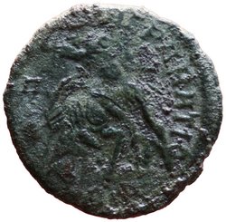 Constantius Gallus