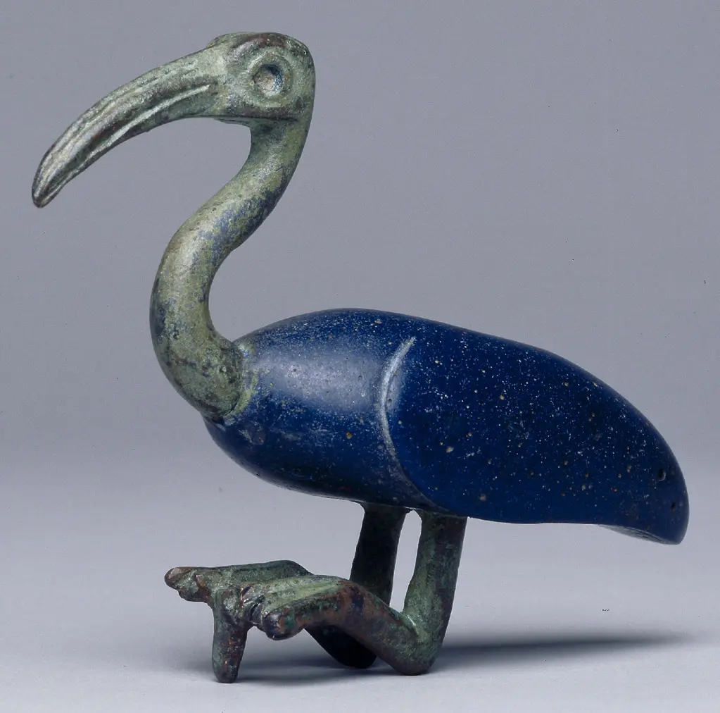 Sitzender Ibis