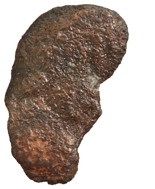 Constantius II. für Iulianus III. oder Iulianus III.