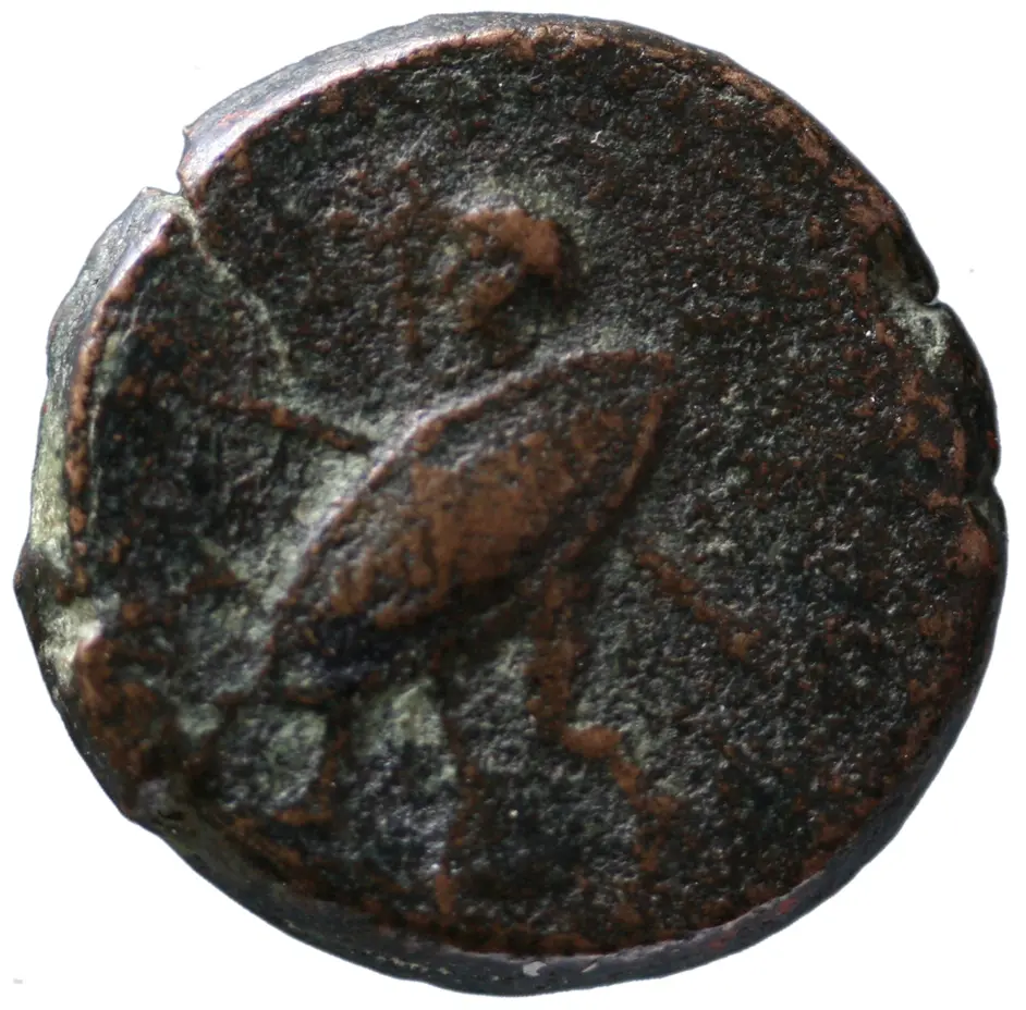 Ariminum (Rimini)