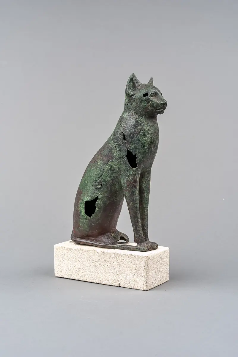 Sitzende Katze
