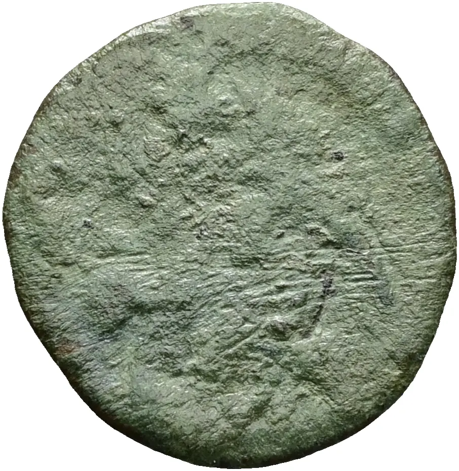 Constantius Gallus oder Iulianus III.